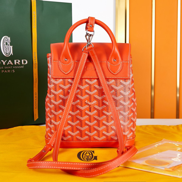 Go*ard alpin mini backpack